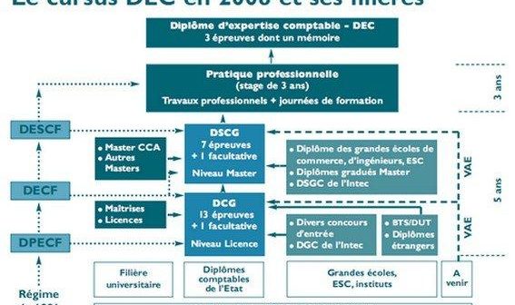 découvrez les nombreux avantages d'un cabinet d'expertise comptable : conseils personnalisés, optimisation fiscale, gestion des comptes simplifiée, et gain de temps précieux pour se concentrer sur le développement de votre entreprise.