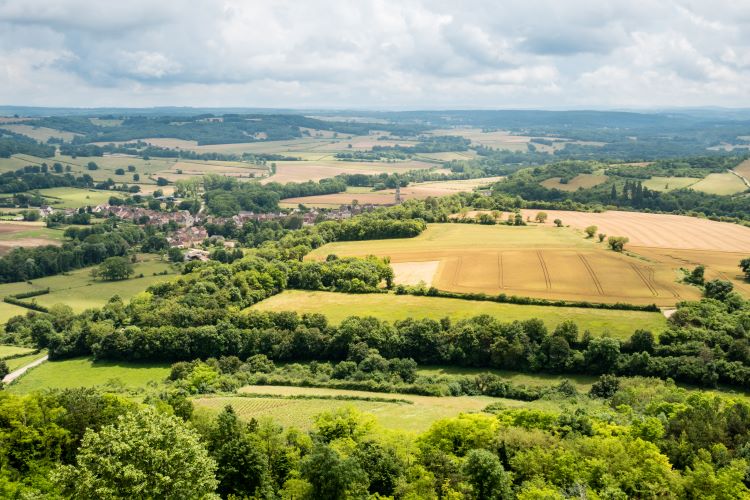 découvrez comment un expert-comptable spécialisé dans l'agroparc peut aider les agriculteurs à optimiser leur gestion financière, améliorer leur rentabilité et naviguer efficacement dans les subtilités fiscales du secteur. profitez d'un accompagnement personnalisé pour maximiser le potentiel de votre exploitation agricole.
