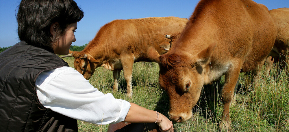 découvrez les nombreux avantages d'engager un expert-comptable à saint-omer. bénéficiez d'une gestion financière optimisée, de conseils personnalisés et d'un accompagnement dans la création et le développement de votre entreprise. simplifiez vos obligations comptables et assurez la pérennité de votre activité avec un professionnel à votre service.