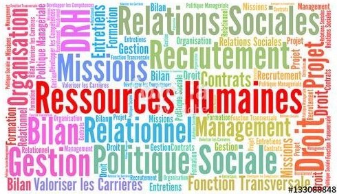 découvrez le cabinet canut mizon à calais, un espace dédié à l'accompagnement personnalisé en conseil juridique et fiscal. profitez de l'expertise de nos professionnels pour vos projets et vos préoccupations, dans une ambiance chaleureuse et accueillante.