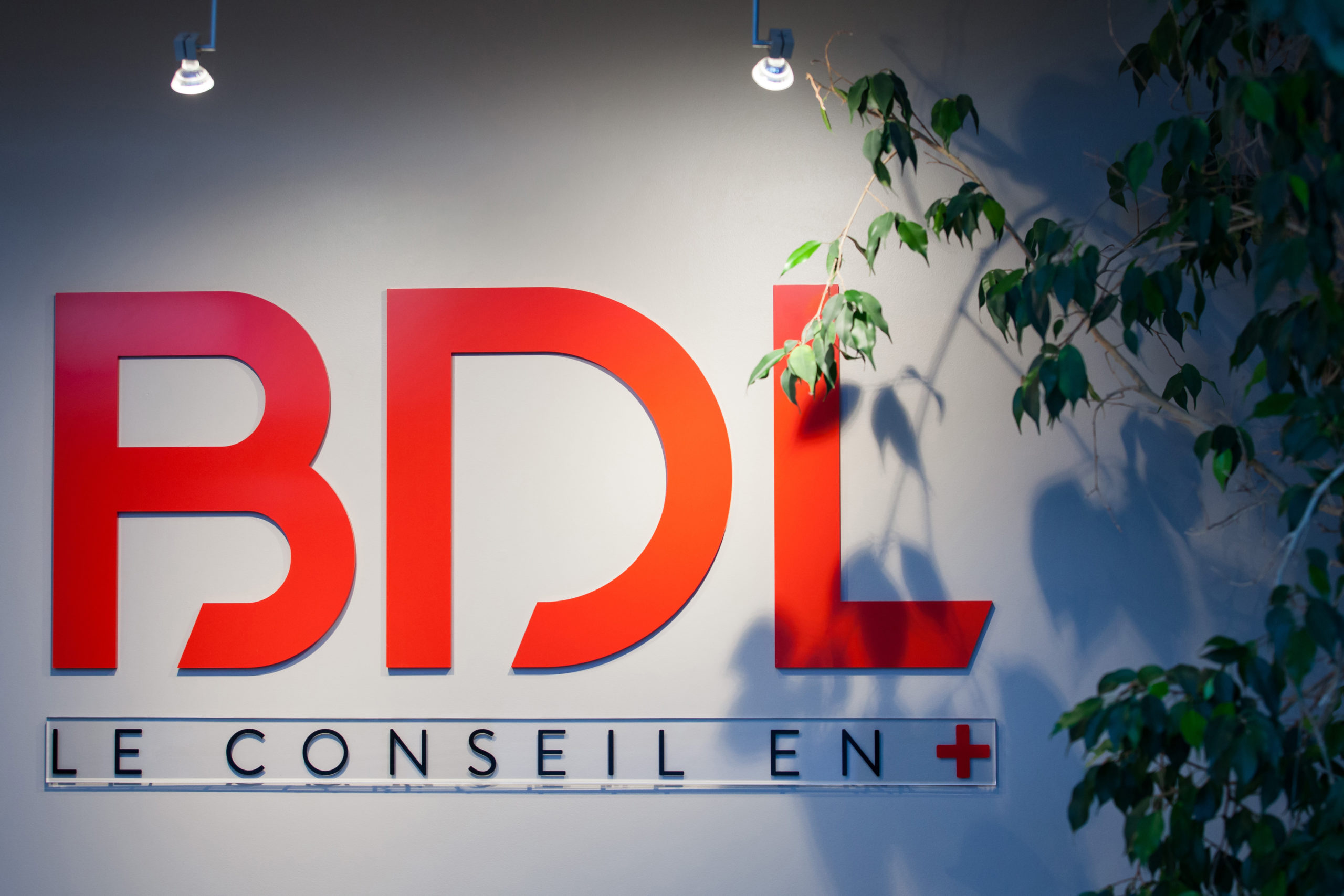 découvrez notre cabinet comptable à armentières, spécialisé dans l'accompagnement des entreprises pour une gestion financière efficace. profitez de notre expertise pour optimiser votre comptabilité et bénéficier de conseils personnalisés adaptés à vos besoins.