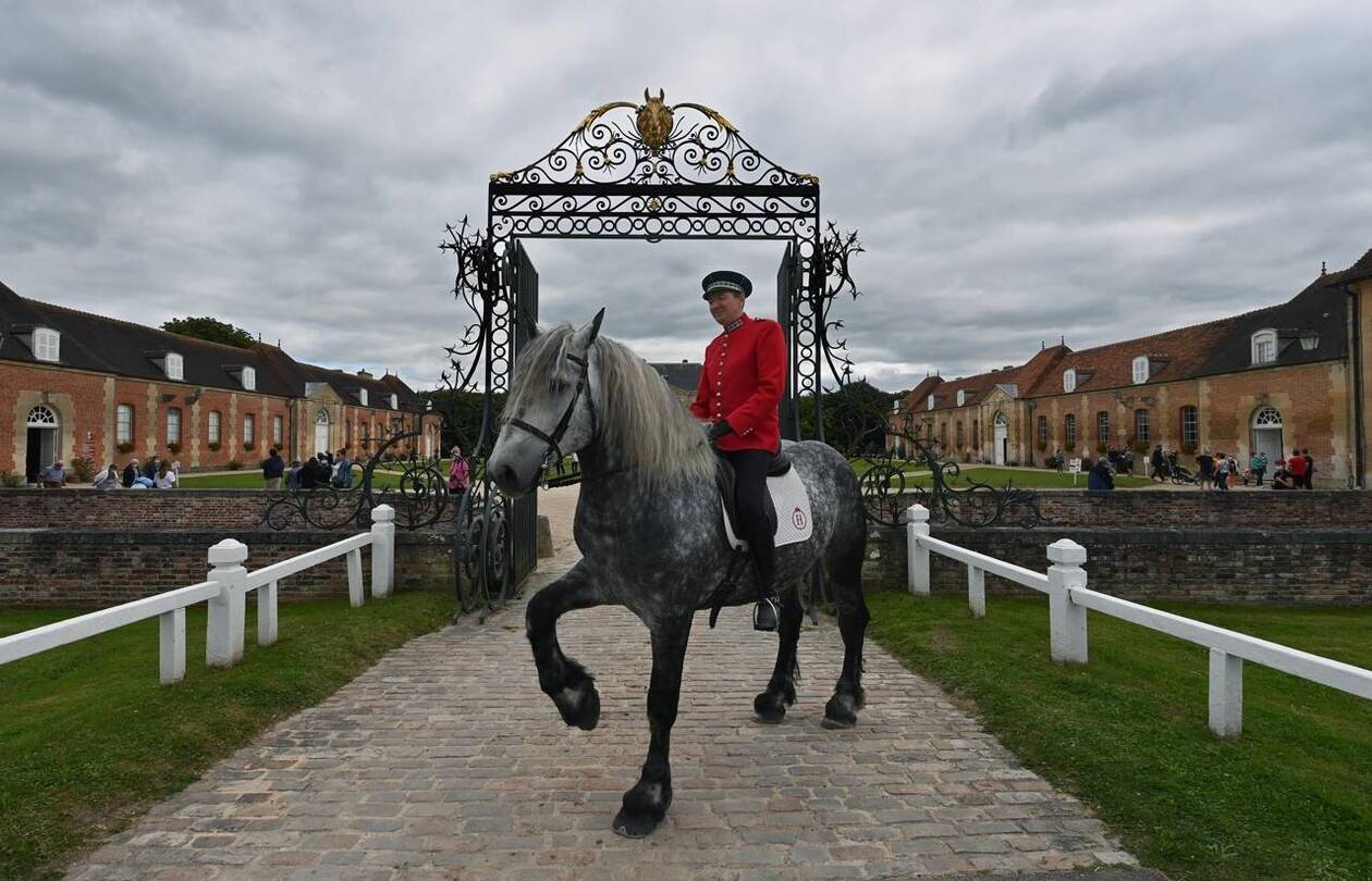 découvrez notre cabinet comptable spécialisé dans le secteur équestre à bayeux. nous offrons des services personnalisés pour gérer vos finances, optimiser votre activité et accompagner votre passion pour les chevaux. contactez-nous dès aujourd'hui pour un accompagnement sur mesure.