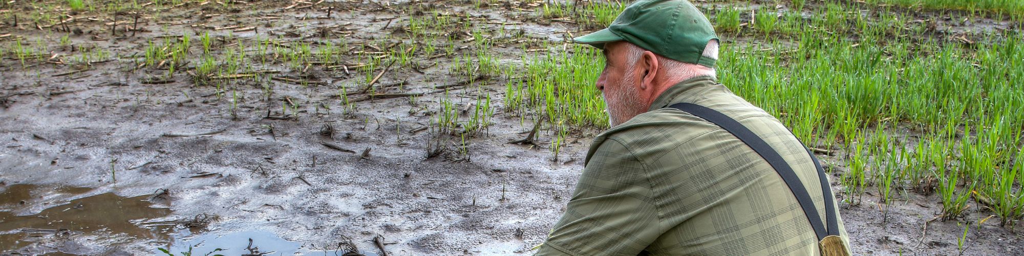 découvrez notre cabinet comptable à saint-erblon, expert en gestion comptable, fiscale et sociale. nous offrons des services personnalisés pour les entreprises de toutes tailles, afin d'optimiser votre comptabilité et de vous accompagner dans votre croissance. contactez-nous pour un conseil sur mesure !