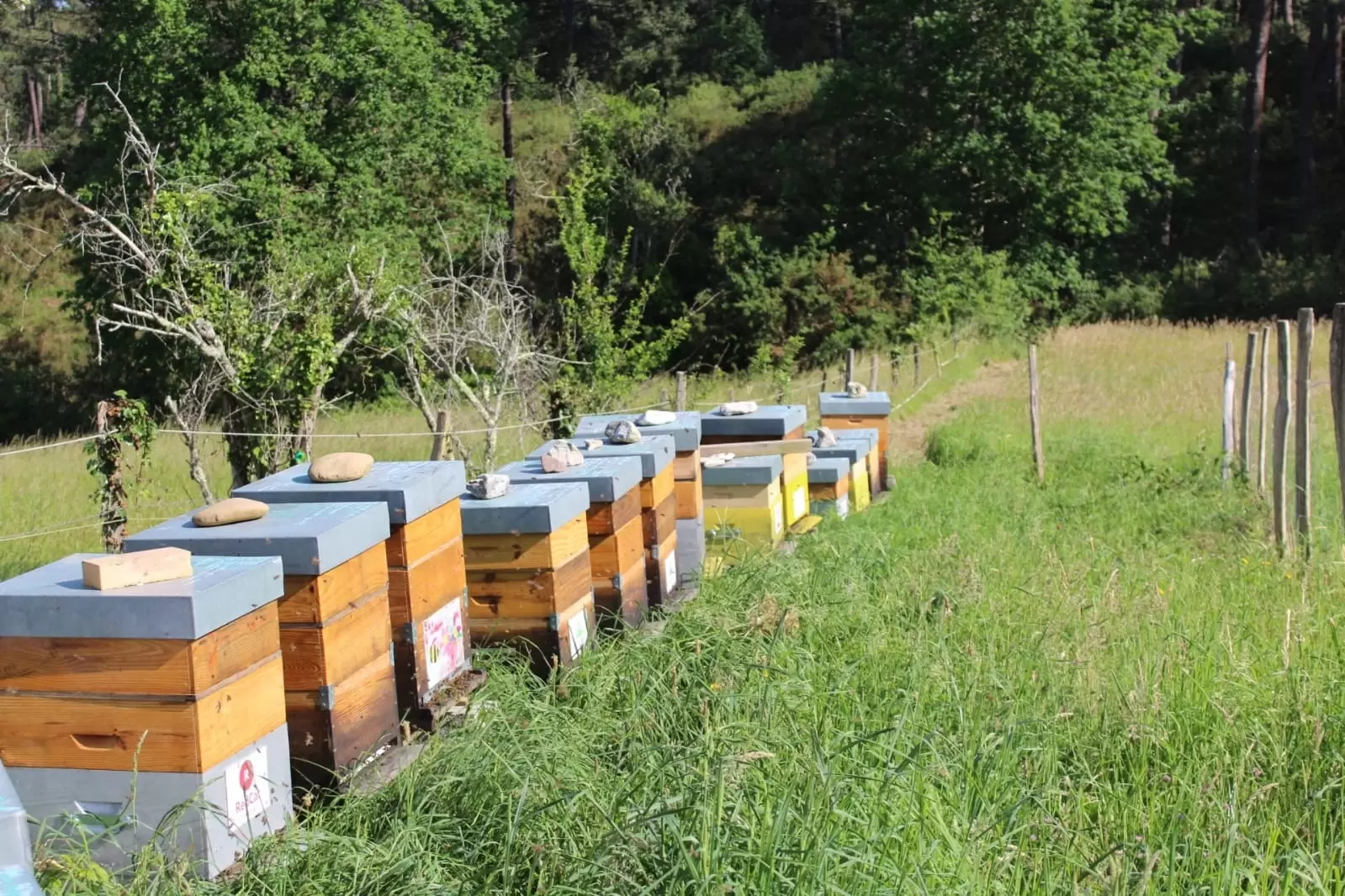 découvrez notre cabinet d'expertise comptable à bayonne, dédié à accompagner les entreprises dans la gestion de leur comptabilité, fiscalité et conseils financiers. profitez d'un service personnalisé et d'une expertise reconnue pour optimiser la santé financière de votre entreprise.