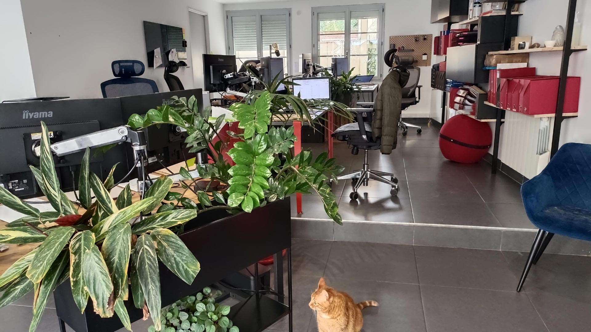 découvrez le cabinet d'expertise comptable lurienne, spécialisé dans l'accompagnement des entreprises et des particuliers. nos experts vous offrent des solutions personnalisées pour la gestion de votre comptabilité, fiscalité et conseils financiers, garantissant ainsi une sérénité durable pour votre activité.