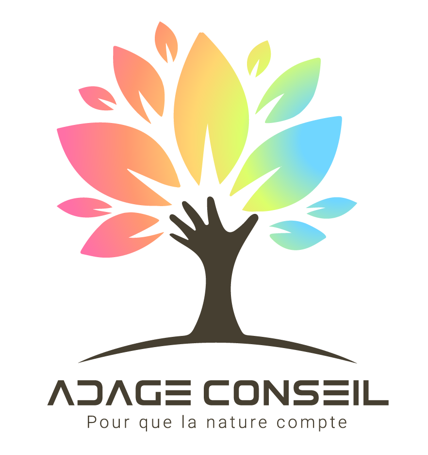 choisir un expert-comptable à anglet peut transformer la gestion de votre entreprise. découvrez des conseils pour sélectionner le professionnel adapté à vos besoins financiers et bénéficiez d'un accompagnement personnalisé pour optimiser votre comptabilité.