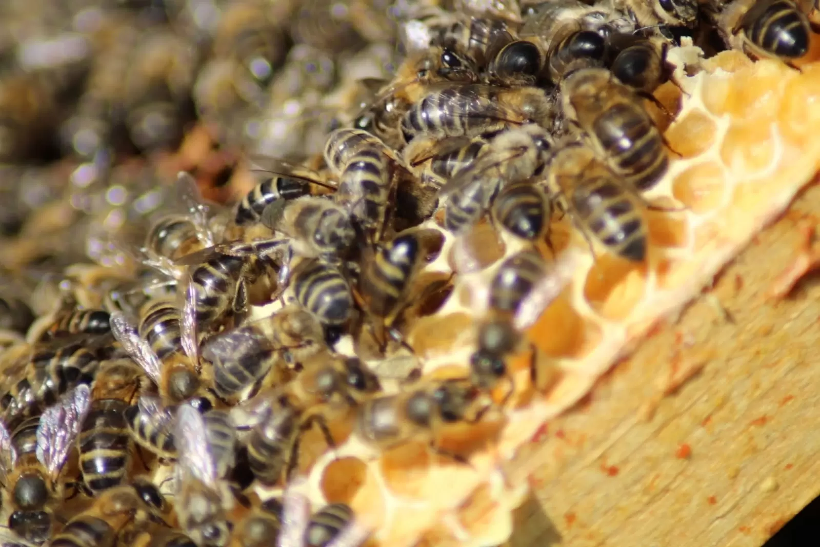 découvrez comment choisir le bon expert-comptable à bayonne pour optimiser la gestion de vos finances. profitez d'un accompagnement professionnel adapté à vos besoins et bénéficiez de conseils avisés pour le succès de votre entreprise.