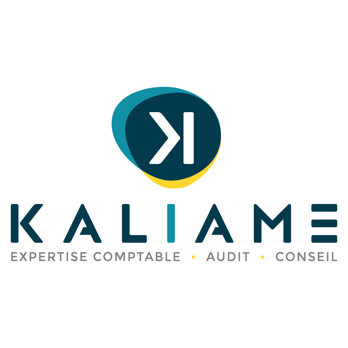 découvrez comment choisir le bon expert-comptable à bron. obtenez des conseils pour sélectionner un professionnel qui répond à vos besoins fiscaux et comptables, afin de garantir la santé financière de votre entreprise.