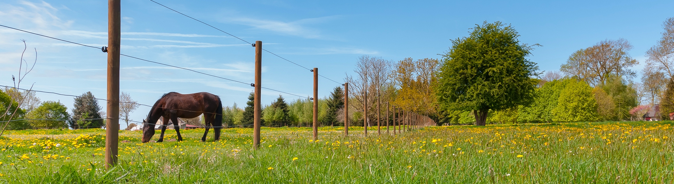 découvrez comment choisir le bon expert-comptable à lannion pour optimiser la gestion de votre entreprise. bénéficiez de conseils d'experts et d'une expertise locale adaptée à vos besoins.