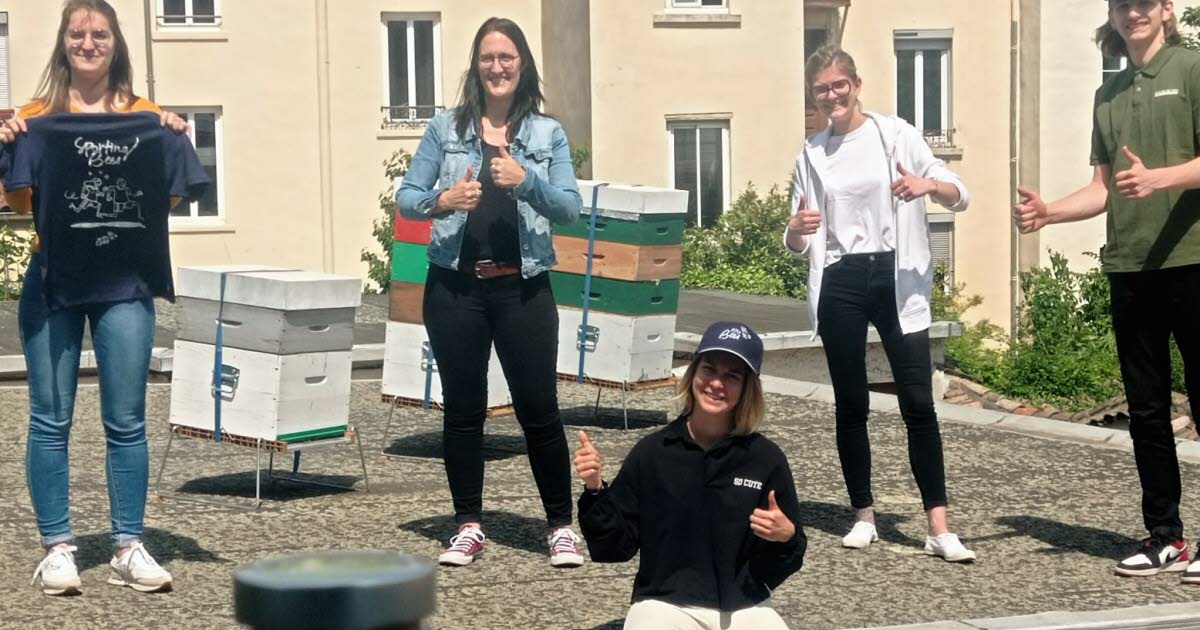 découvrez les meilleurs experts-comptables à oullins pour vous accompagner dans la gestion de vos finances. profitez de conseils adaptés à votre entreprise et d'une expertise professionnelle pour optimiser votre comptabilité.