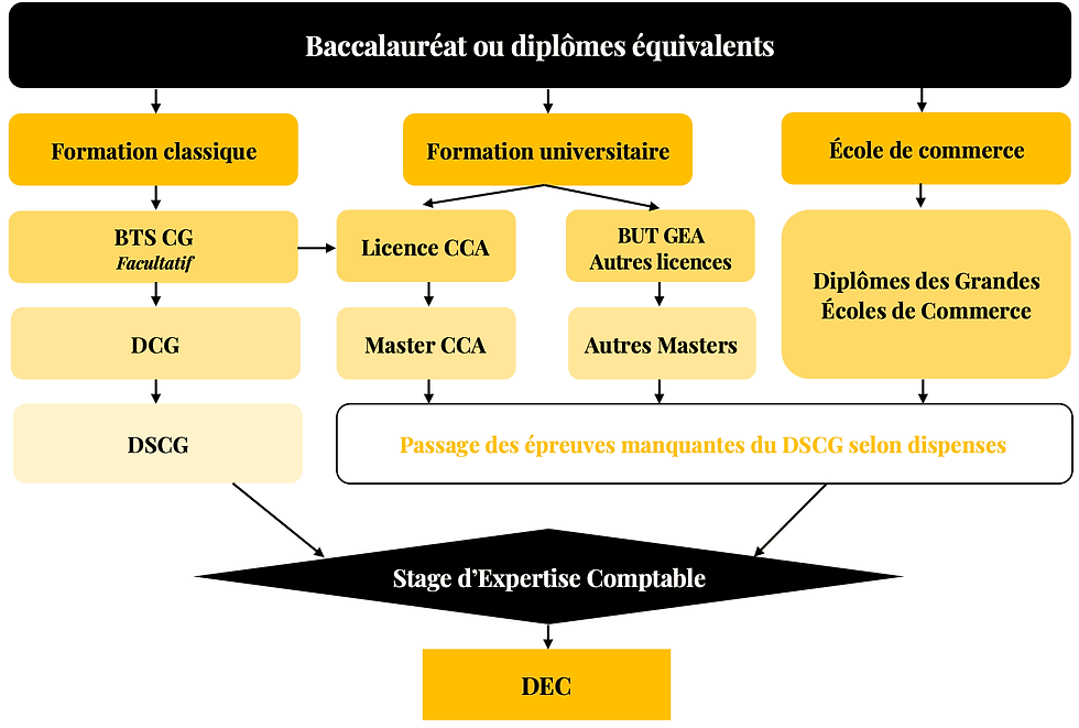 découvrez les compétences essentielles à développer lors d'un stage en expertise comptable. apprenez à maîtriser les outils financiers, la gestion des obligations fiscales et la comptabilité analytique pour réussir dans le domaine de la comptabilité.