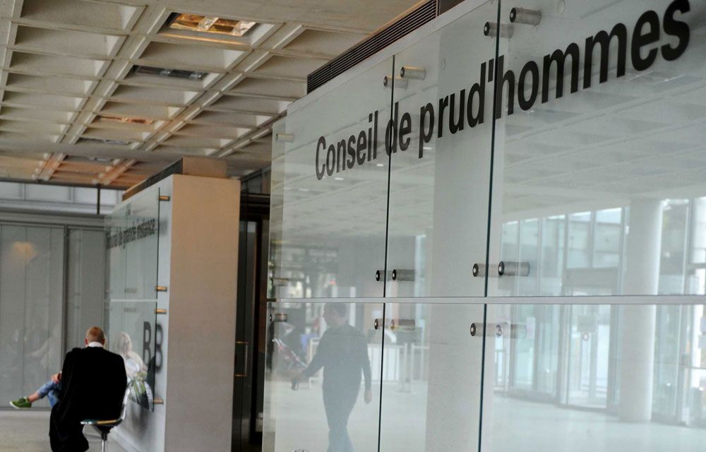 découvrez le lien fascinant entre les cormorans et le monde du travail avec les prud'hommes. cette article explore comment la nature et la justice se croisent, révélant des analogies surprenantes et des leçons à tirer pour les professionnels d'aujourd'hui.