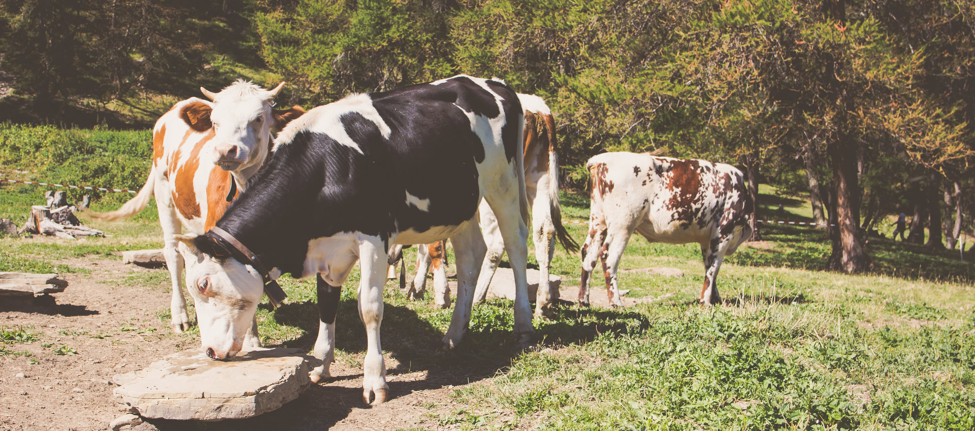 découvrez les services d'un expert-comptable à chambray pour vous accompagner dans la gestion de votre entreprise. bénéficiez de conseils personnalisés, d'une comptabilité précise et d'un suivi adapté à vos besoins professionnels.