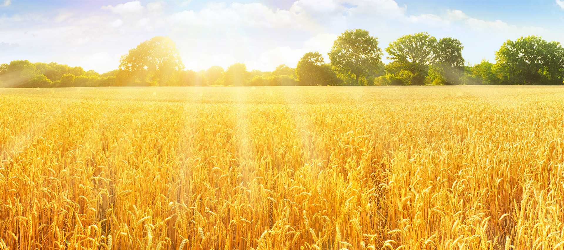 découvrez notre cabinet d'expertise comptable à chambray. nous offrons des services personnalisés pour les entreprises, incluant la gestion comptable, fiscale et sociale. profitez de notre expertise pour optimiser votre gestion financière et assurer la croissance de votre activité.