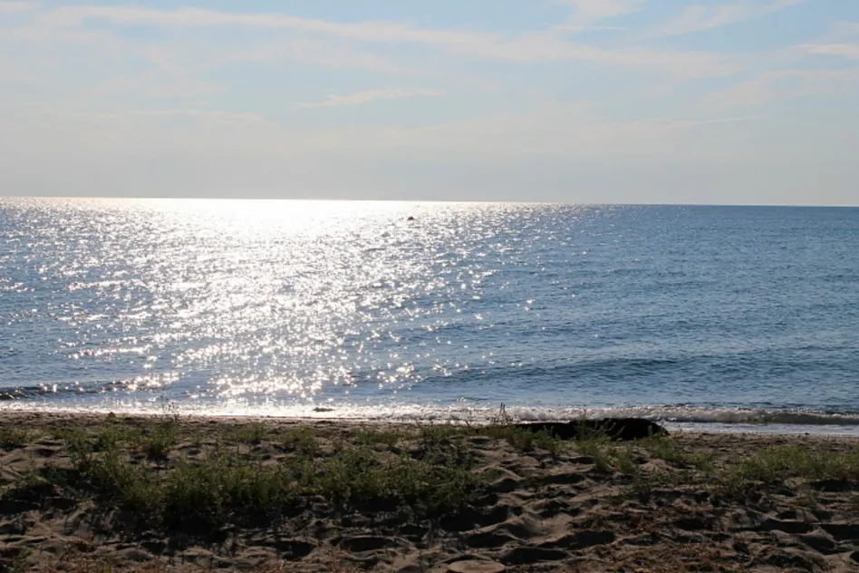 découvrez les services d'un expert comptable à moriani, spécialisé dans l'accompagnement des entreprises et particuliers. profitez d'une gestion financière optimale, de conseils personnalisés et d'une expertise reconnue pour assurer la réussite de vos projets.