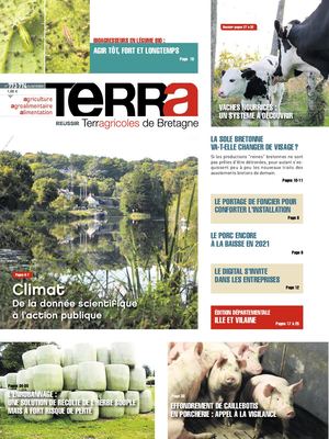 découvrez les services d'expertise comptable de sylvain limon, professionnel engagé à vous accompagner dans la gestion de vos finances et le développement de votre entreprise. profitez d'un conseil personnalisé et d'une expertise de qualité pour optimiser votre comptabilité.