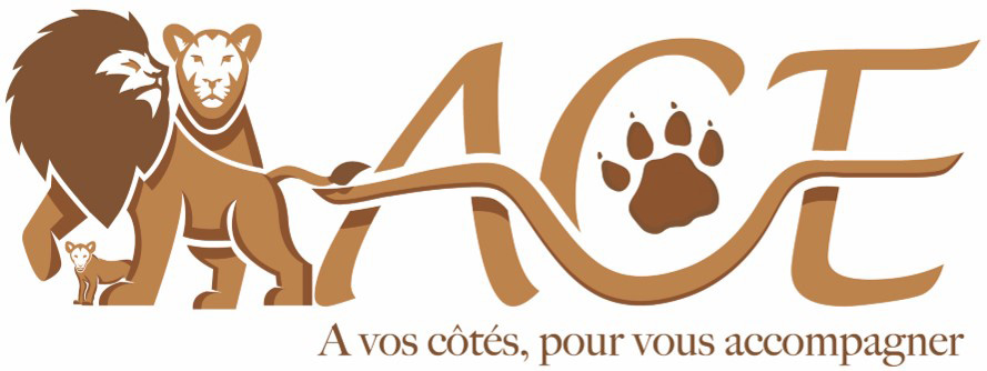 découvrez nos services d'expertise comptable à villeneuve-lès-avignon. nos experts-comptables vous accompagnent dans la gestion de votre entreprise, l'optimisation de vos finances et le respect de vos obligations fiscales. contactez-nous pour un rendez-vous personnalisé.