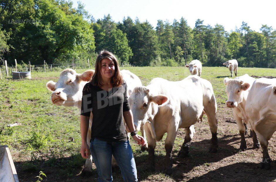 découvrez les services d'expertise du cabinet pommier, spécialisé dans l'accompagnement et le conseil en gestion, comptabilité et fiscalité. bénéficiez d'une approche personnalisée pour optimiser la performance de votre entreprise.