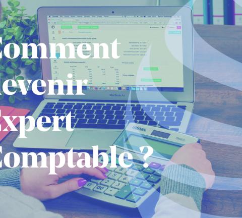 découvrez nos services d'expertise comptable, adaptés à vos besoins. bénéficiez de conseils personnalisés, d'analyses financières approfondies et d'une gestion optimale de votre comptabilité. confiez-nous la santé financière de votre entreprise pour un développement serein et réussi.