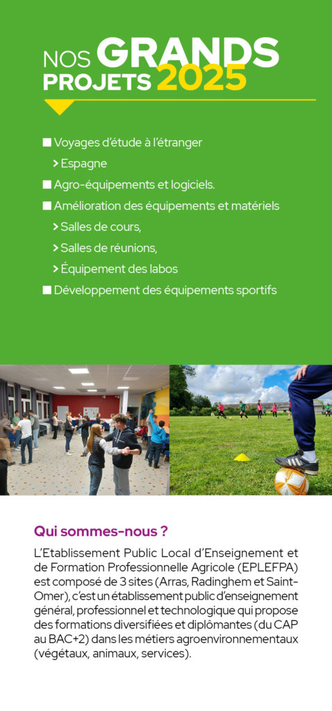 découvrez fidess arras, votre partenaire de confiance pour des services comptables sur mesure. nous vous accompagnons dans la gestion de vos finances, la fiscalité et la comptabilité d'entreprise, afin de garantir la croissance et la sérénité de votre activité.