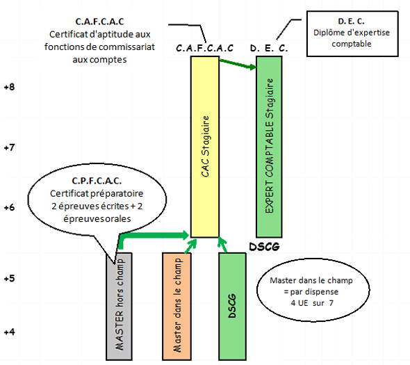 découvrez les différentes fonctions d'un cabinet comptable, des services de tenue de livres à la gestion fiscale, en passant par le conseil financier. optimisez la gestion de votre entreprise grâce à l'expertise d'un cabinet comptable.