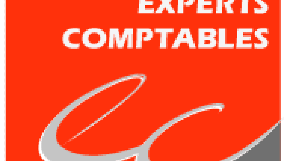 découvrez comment le mécénat et l'expertise comptable se rejoignent pour soutenir des projets sociétaux et culturels. apprenez comment les entreprises peuvent allier responsabilité sociale et optimisation fiscale tout en contribuant au bien-être de la communauté.