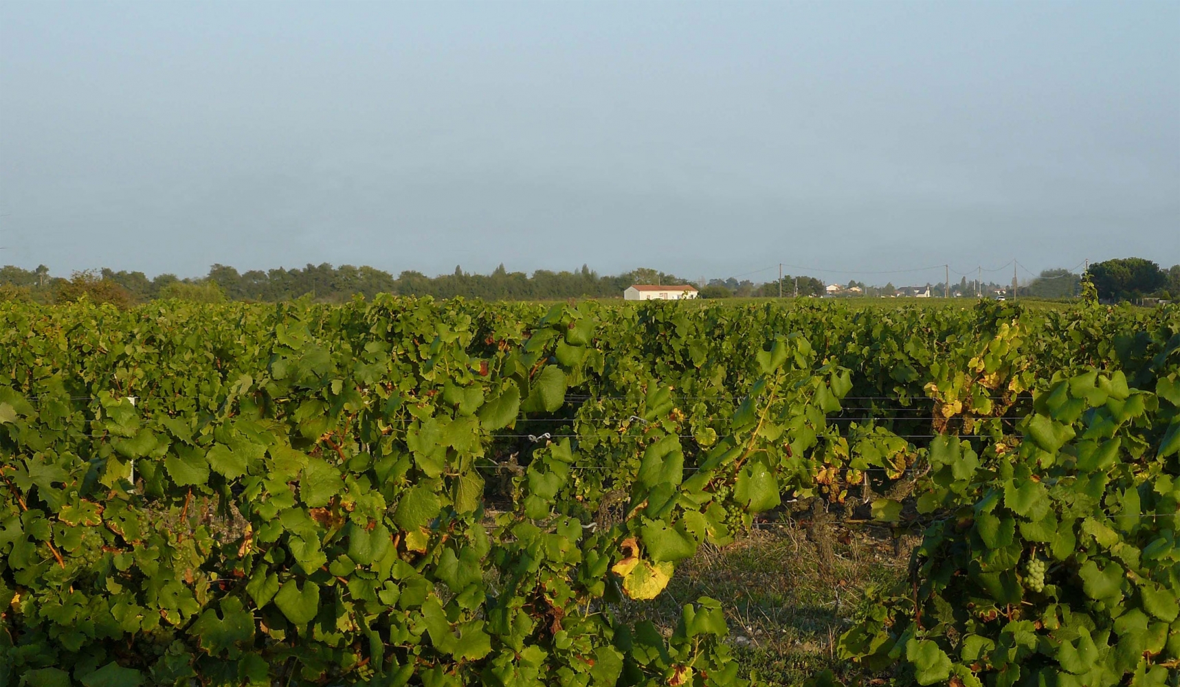 découvrez les services professionnels du cabinet chabert 69, spécialisés dans l'accompagnement juridique et fiscal. notre équipe d'experts est à votre écoute pour vous offrir des solutions sur mesure adaptées à vos besoins. contactez-nous dès aujourd'hui pour un accompagnement de qualité.