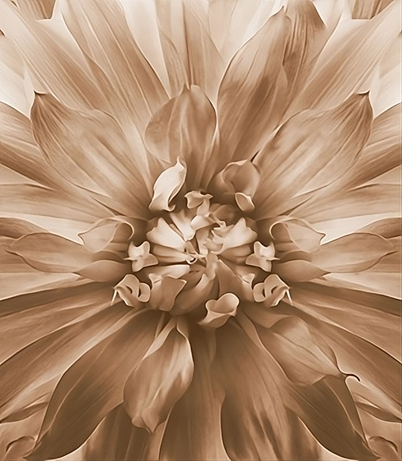 découvrez les services de monvoisin à thonon-les-bains, votre plateforme de mise en relation pour des services de proximité. trouvez facilement des voisins disponibles pour vous aider dans vos tâches quotidiennes, qu'il s'agisse de bricolage, de jardinage, ou de gardiennage.