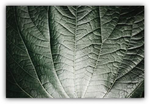 découvrez les services sapec, experts en solutions innovantes et adaptées à vos besoins. optimisez votre entreprise grâce à notre savoir-faire en gestion et accompagnement personnalisé.