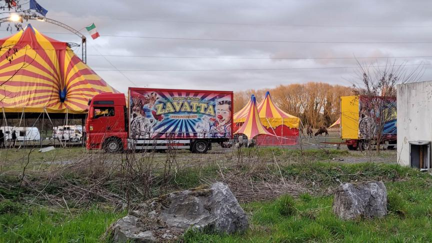 découvrez sogecca à douai, votre partenaire de confiance pour des solutions innovantes et personnalisées. profitez de notre expertise pour répondre à tous vos besoins en matière de produits et services de qualité.